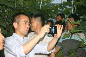 桃色无码视频网镇党建联盟葡萄网格化管理在巡查中发现葡萄大量落果