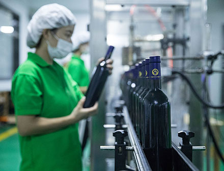 桃色无码视频网酒业