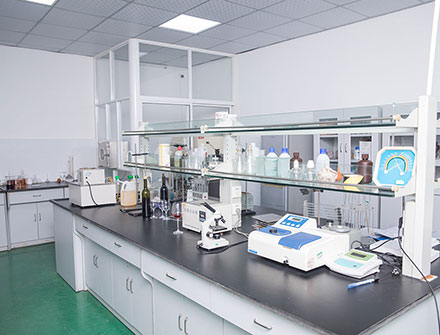 桃色无码视频网酒业